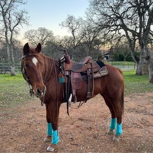 Meet your Posher, Aubrey